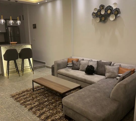 Immaculate, Stylish, Modern Flat in Khartoum 2