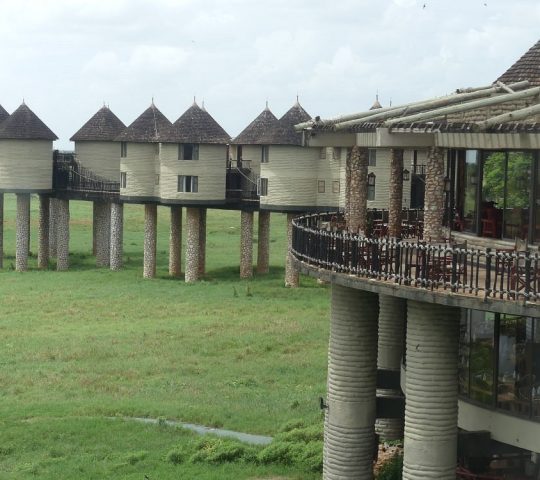 Salt Lick Safari Lodge in Taita Taveta