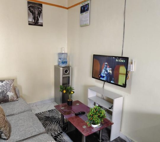 Executive Furnished Studio at Bulbul, Ngong