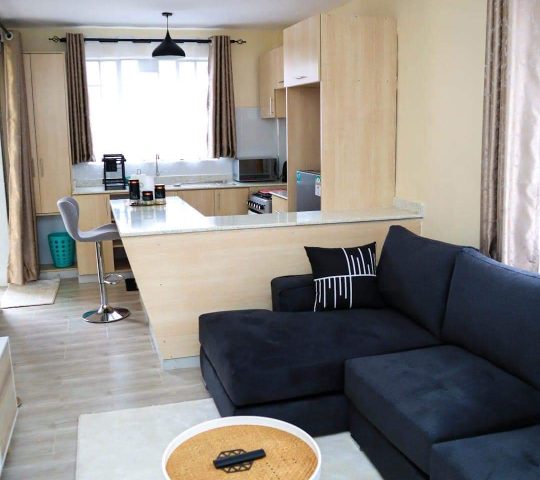 1 Bedroom Airbnb Apartment in Nakuru