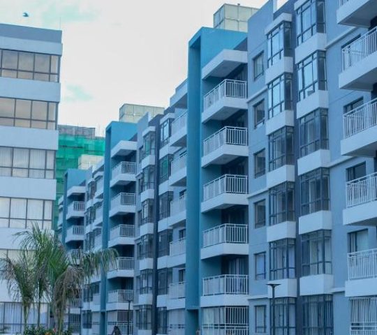 InDesign Makumbi park studio