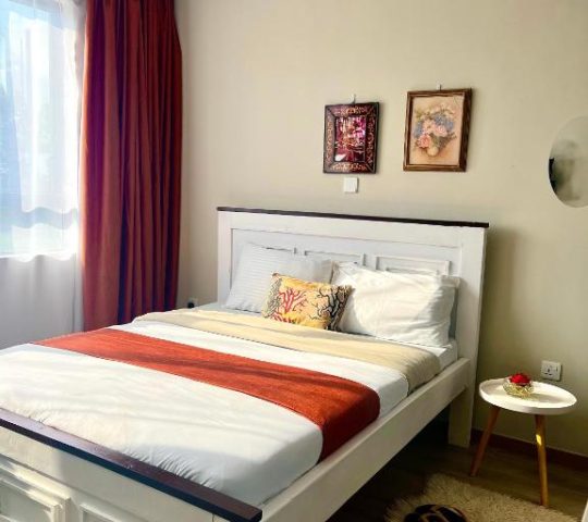 Best studio stay in Syokimau