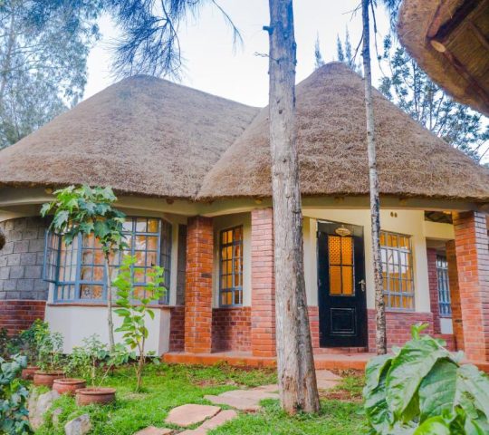 Edaala Comfort – B&B Edaala Comfort – B&B